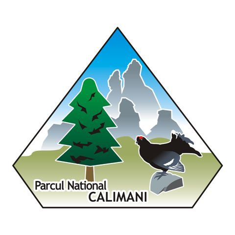 logo2